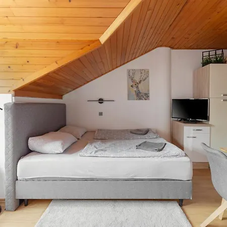 Apartma Alpine Space, - Center * Kranjska Gora