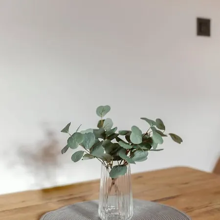 Apartma Alpine Space, - Center * Kranjska Gora