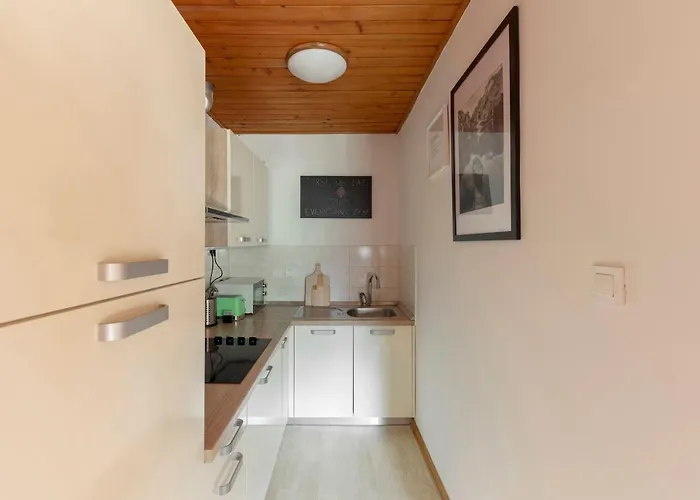 Apartma Alpine Space, - Center Kranjska Gora