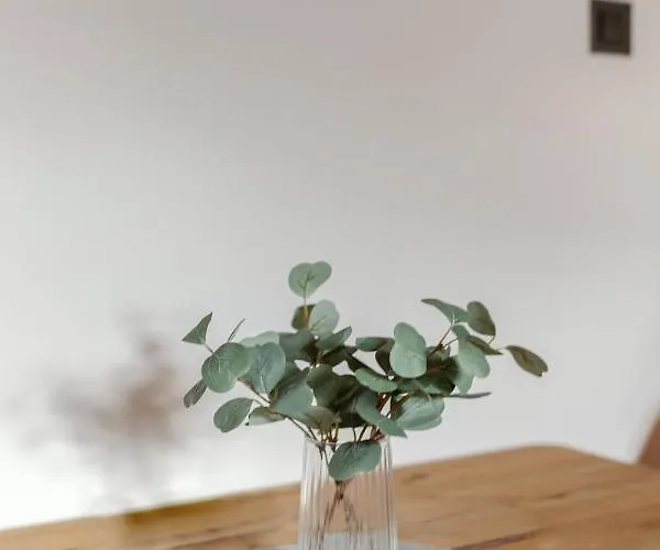 Apartma Alpine Space, - Center * Kranjska Gora